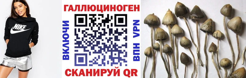 Галлюциногенные грибы Magic Shrooms  МЕГА сайт  Ставрополь 